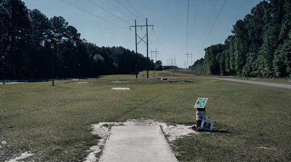 Editorial illustration for Where to Find Disc Golf, a Dog Park, and Tennis Courts in Valdosta's Parks